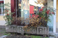 ReverseGraffiti-TOB-5