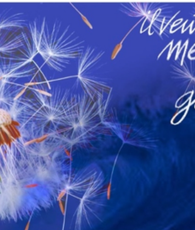giornata internazionale vittime delle mafie