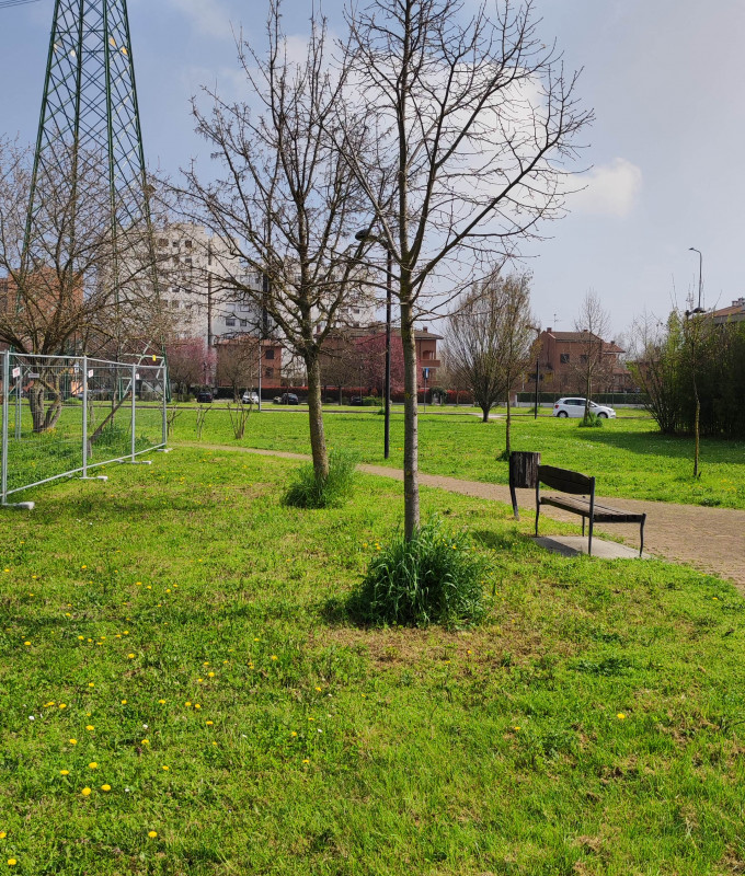 area casa della comunità