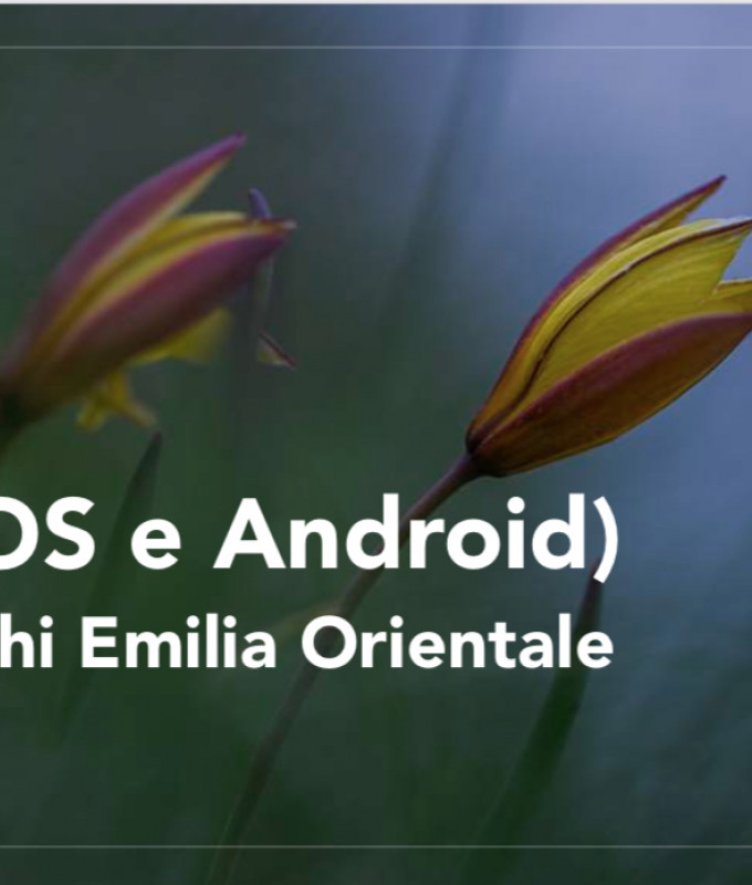immagine presentazione app