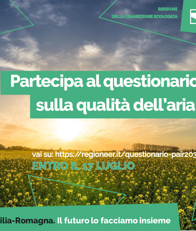 QUESTIONARIO PAIR