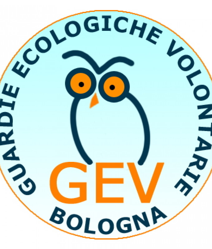logo GEV