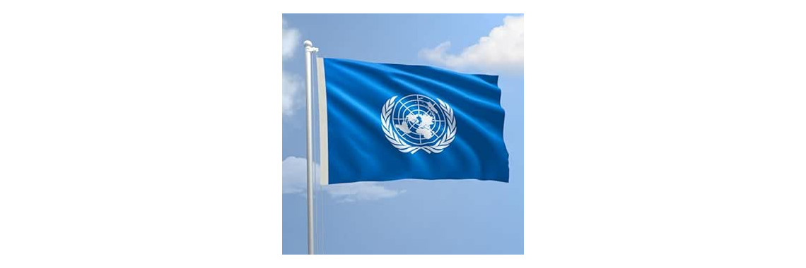 BANDIERA ONU
