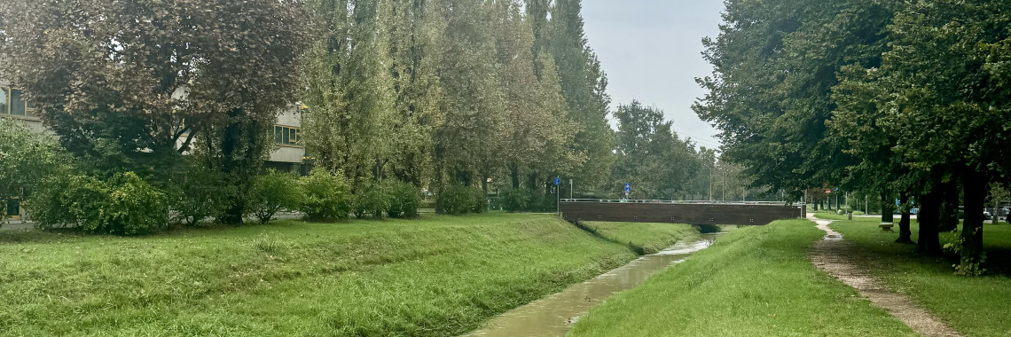 Ghironda