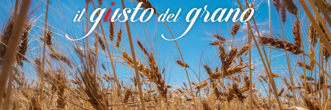 Il gusto del grano