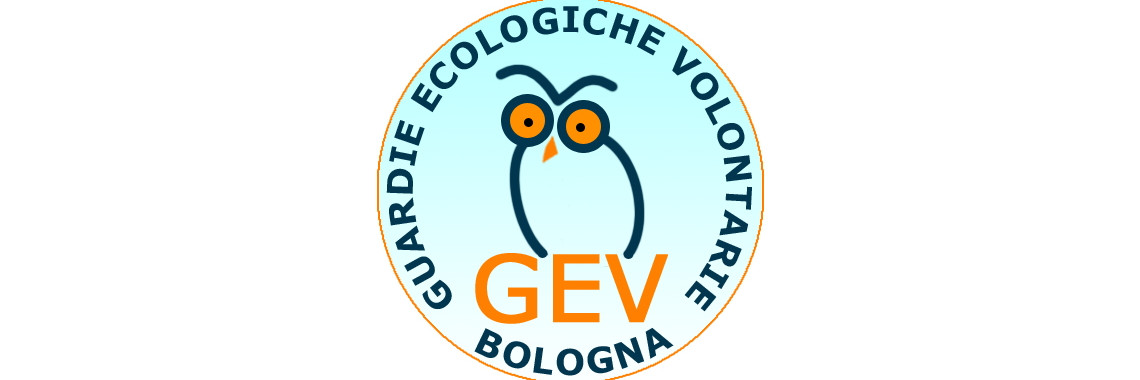 logo GEV